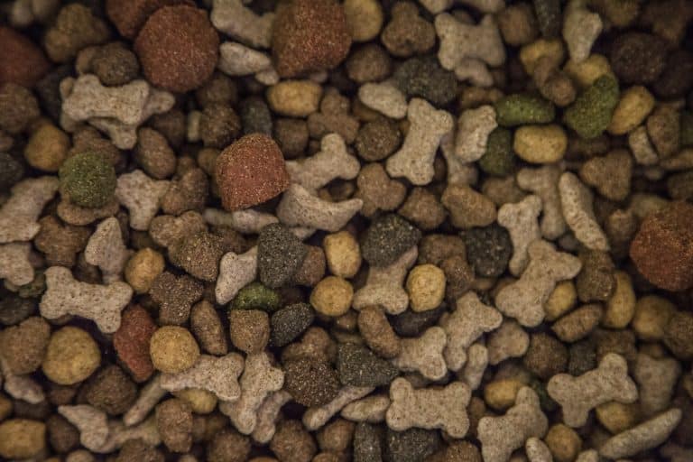 Pourquoi alimenter son chien avec des croquettes ?