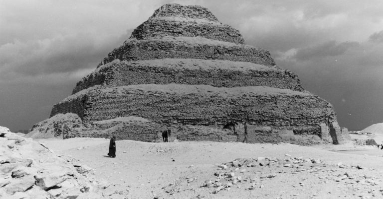 Quels secrets se cachent au royaume des bêtes ?