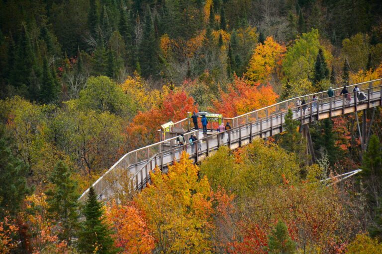 Pourquoi les splendeurs sauvages attirent-elles tant les visiteurs ?