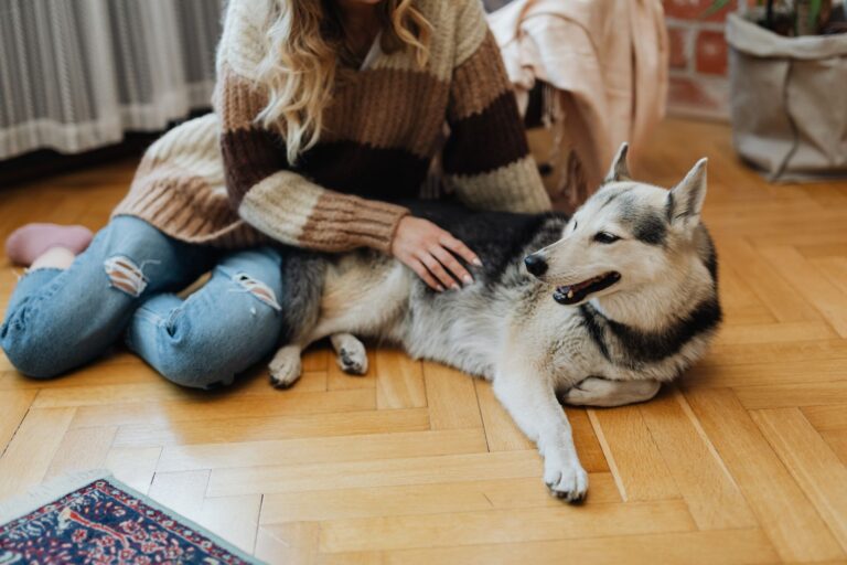 Comment la Conquête animale a-t-elle façonné notre monde ?
