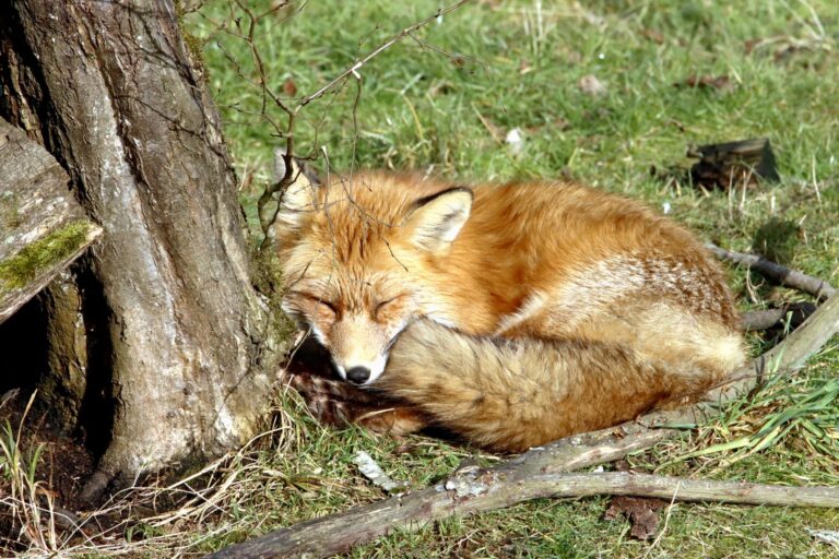 Quels sont les joyaux de la nature à découvrir ?