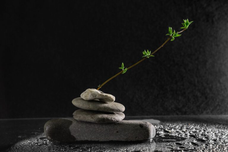 La force de la nature : Comment la nature peut-elle influencer notre vie ?