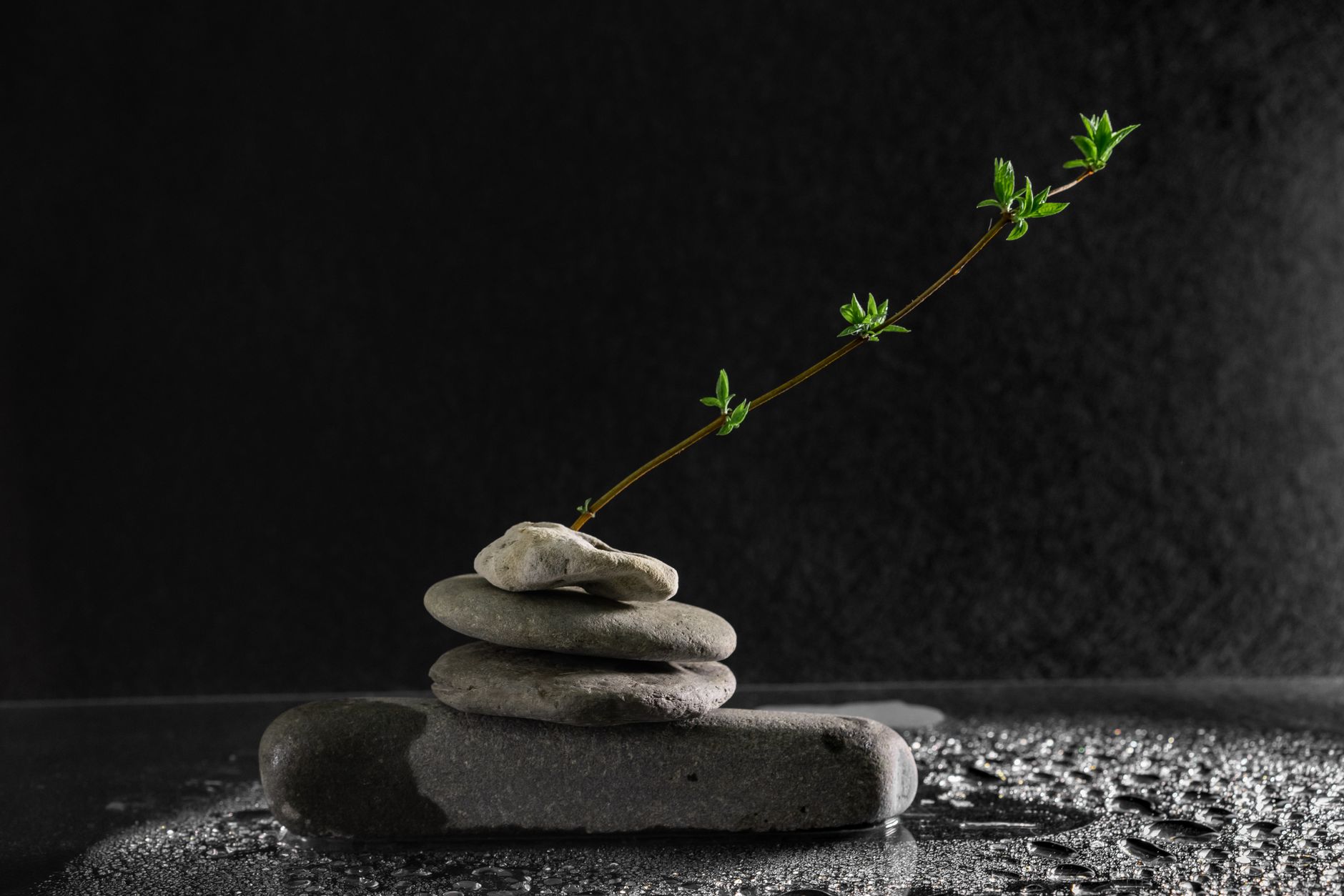 La force de la nature : Comment la nature peut-elle influencer notre vie ?