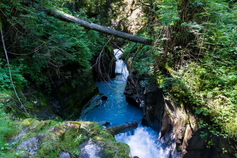Quels sont les spectacles naturels à ne pas manquer ?