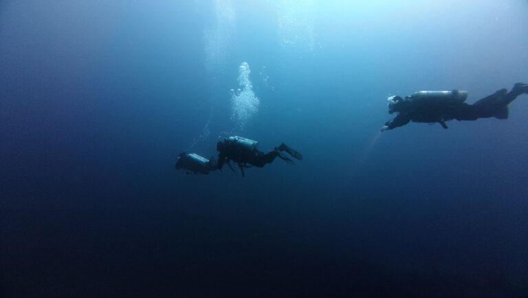 Quels sont les mystères insaisissables des profondeurs aquatiques ?