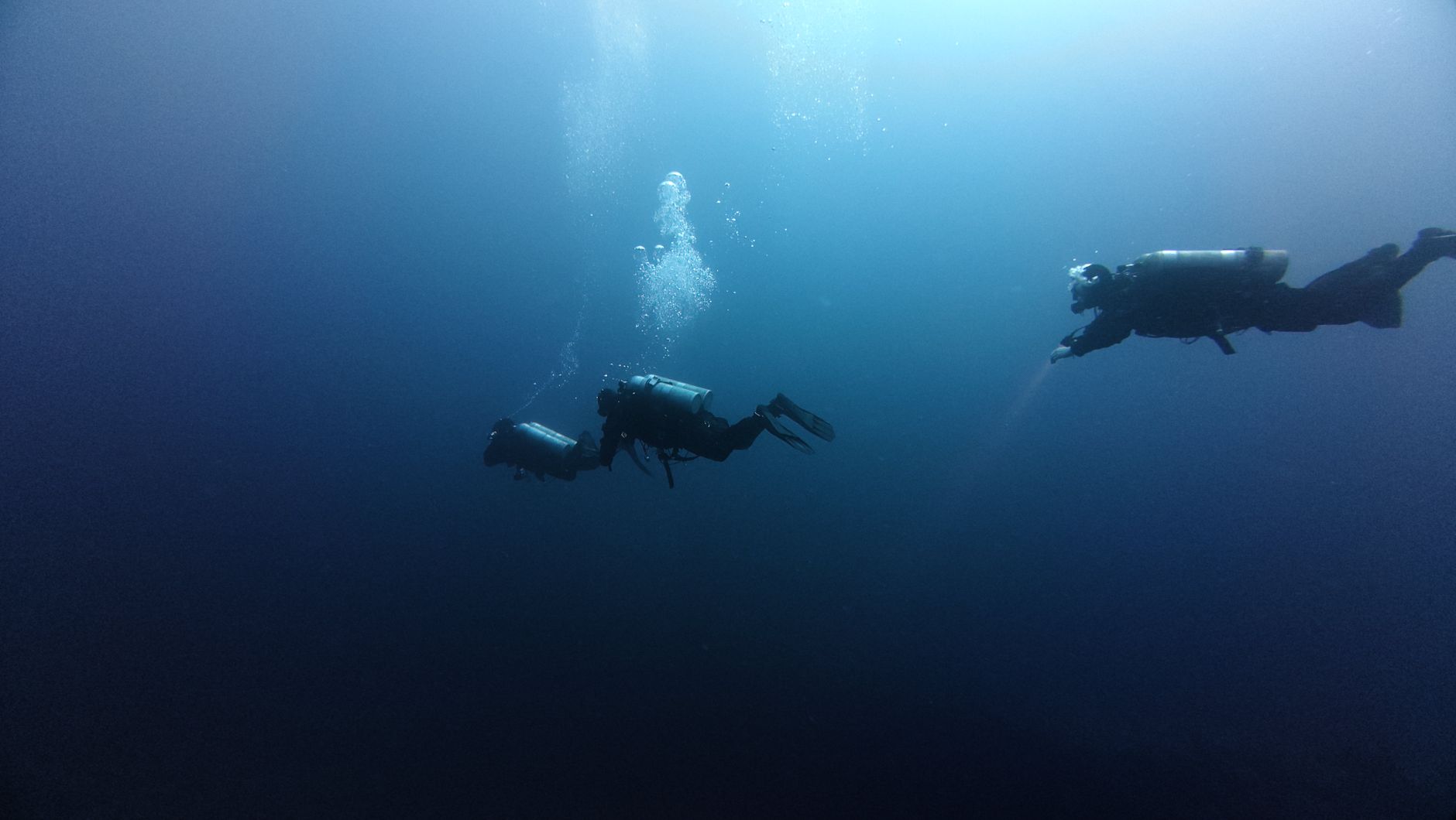 Quels sont les mystères insaisissables des profondeurs aquatiques ?