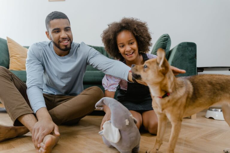 Pourquoi les animaux apparaissent-ils dans nos vies?