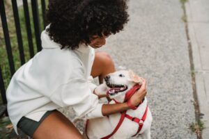 Comment dépasser notre animalité ?