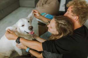 Pourquoi les ritournelles animales captivent-elles tant notre attention ?