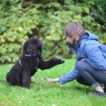 La vie secrète des animaux : que cachent-ils vraiment ?