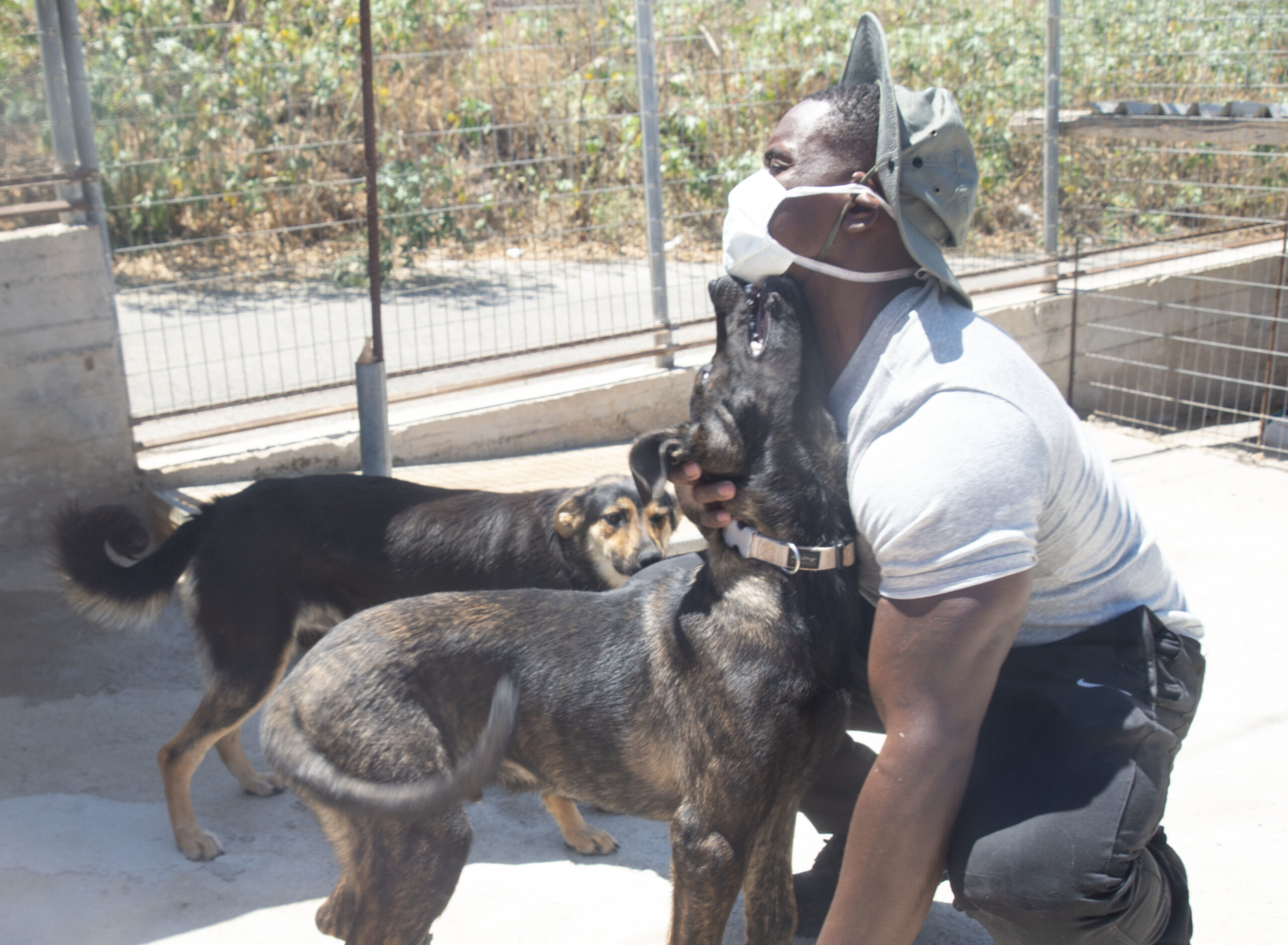 Un homme masqué, coiffé d’un chapeau, s’accroupit et câline un chien brun et noir dans un enclos grillagé, avec un deuxième chien à côté.